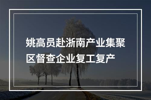 姚高员赴浙南产业集聚区督查企业复工复产
