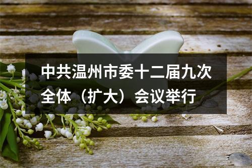 中共温州市委十二届九次全体（扩大）会议举行