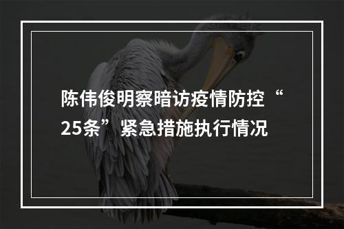 陈伟俊明察暗访疫情防控“25条”紧急措施执行情况