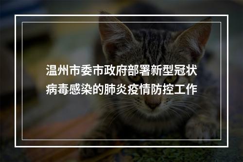 温州市委市政府部署新型冠状病毒感染的肺炎疫情防控工作