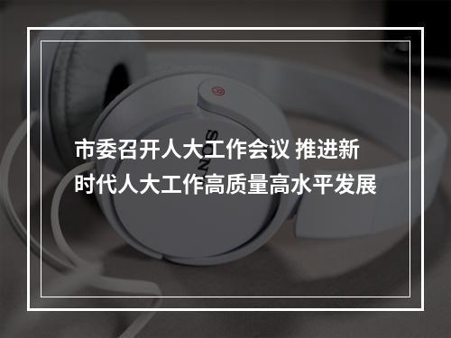 市委召开人大工作会议 推进新时代人大工作高质量高水平发展