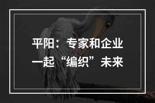 平阳：专家和企业一起“编织”未来