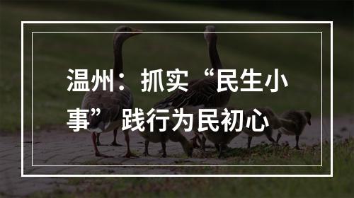 温州：抓实“民生小事” 践行为民初心