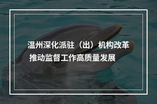 温州深化派驻（出）机构改革 推动监督工作高质量发展