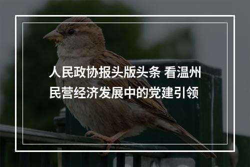 人民政协报头版头条 看温州民营经济发展中的党建引领