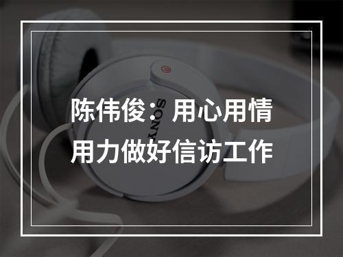 陈伟俊：用心用情用力做好信访工作