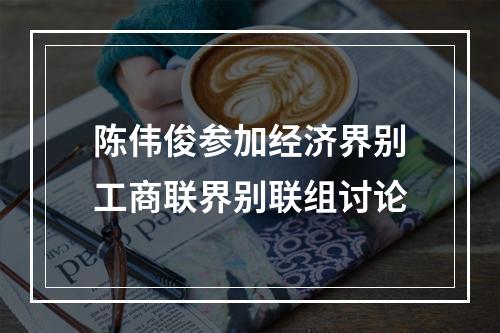 陈伟俊参加经济界别工商联界别联组讨论