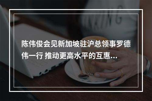 陈伟俊会见新加坡驻沪总领事罗德伟一行 推动更高水平的互惠互利合作共赢