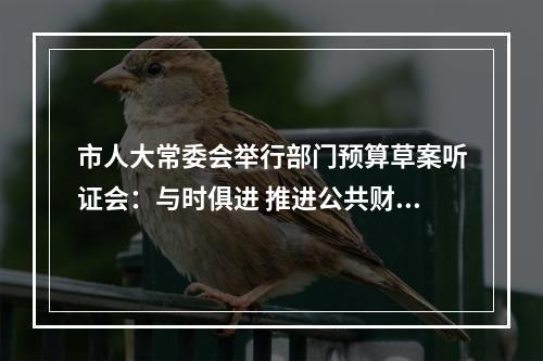 市人大常委会举行部门预算草案听证会：与时俱进 推进公共财政建设