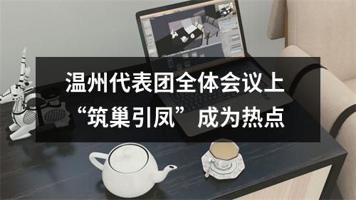 温州代表团全体会议上 “筑巢引凤”成为热点