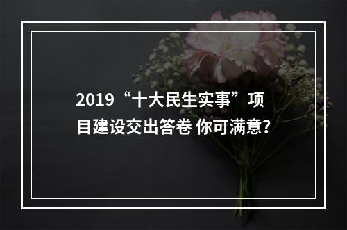 2019“十大民生实事”项目建设交出答卷 你可满意？