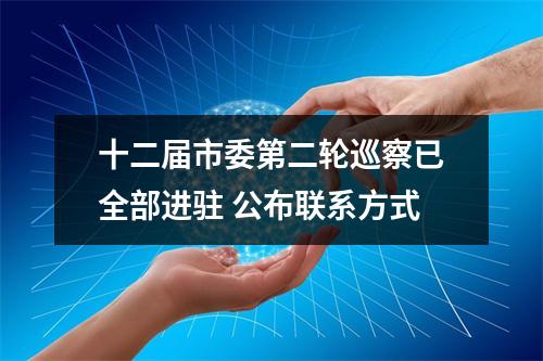 十二届市委第二轮巡察已全部进驻 公布联系方式