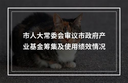 市人大常委会审议市政府产业基金筹集及使用绩效情况