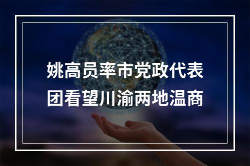 姚高员率市党政代表团看望川渝两地温商