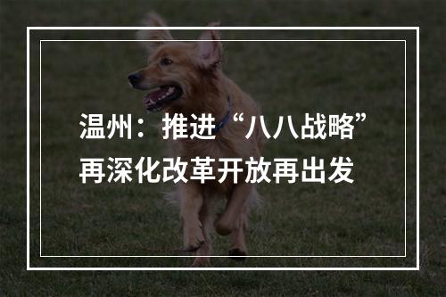 温州：推进“八八战略”再深化改革开放再出发