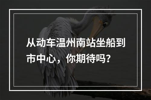 从动车温州南站坐船到市中心，你期待吗？