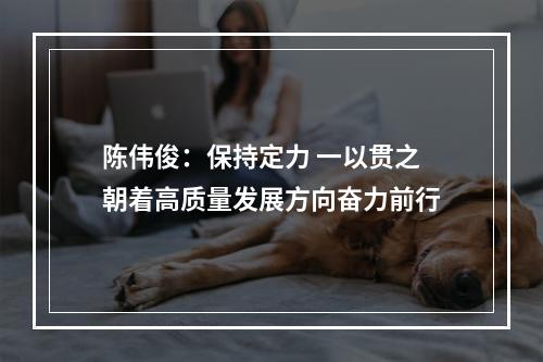 陈伟俊：保持定力 一以贯之 朝着高质量发展方向奋力前行