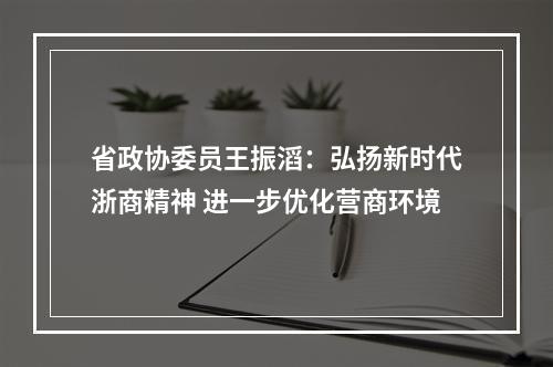省政协委员王振滔：弘扬新时代浙商精神 进一步优化营商环境