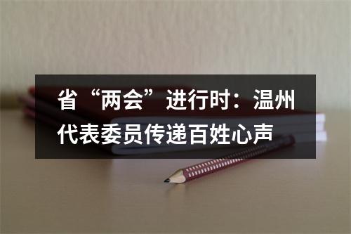 省“两会”进行时：温州代表委员传递百姓心声