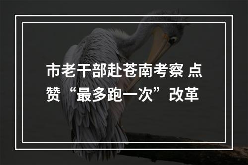 市老干部赴苍南考察 点赞“最多跑一次”改革