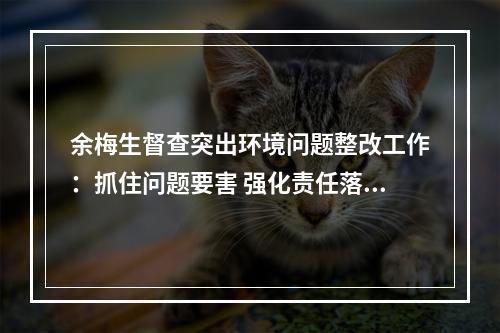 余梅生督查突出环境问题整改工作：抓住问题要害 强化责任落实
