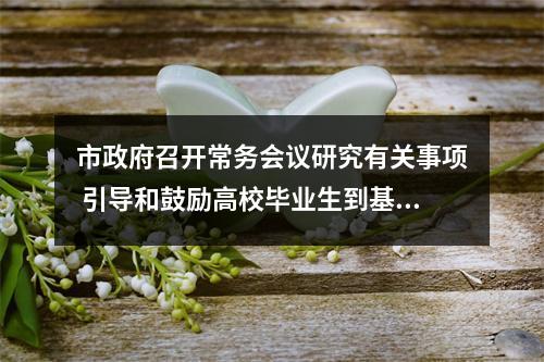 市政府召开常务会议研究有关事项 引导和鼓励高校毕业生到基层工作
