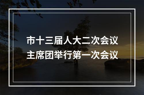 市十三届人大二次会议主席团举行第一次会议