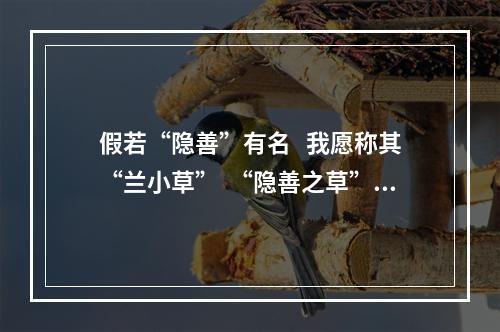 假若“隐善”有名   我愿称其“兰小草”  “隐善之草”芳菲尽  “道德群像”渐成林