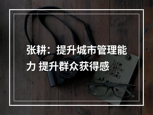 张耕：提升城市管理能力 提升群众获得感
