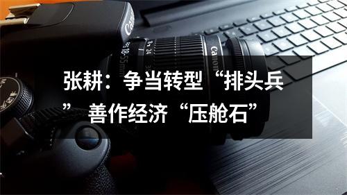 张耕：争当转型“排头兵” 善作经济“压舱石”