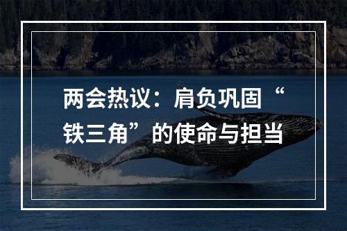 两会热议：肩负巩固“铁三角”的使命与担当