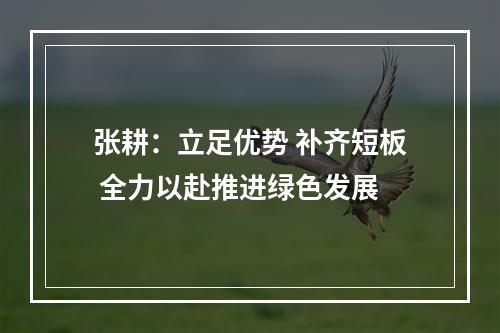 张耕：立足优势 补齐短板 全力以赴推进绿色发展