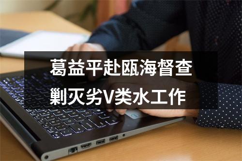 葛益平赴瓯海督查剿灭劣V类水工作