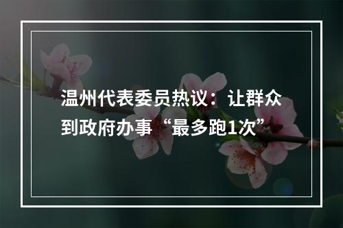 温州代表委员热议：让群众到政府办事“最多跑1次”