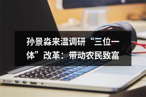 孙景淼来温调研“三位一体”改革：带动农民致富