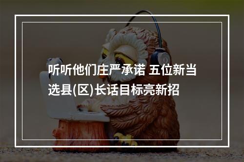 听听他们庄严承诺 五位新当选县(区)长话目标亮新招