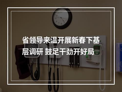 省领导来温开展新春下基层调研 鼓足干劲开好局