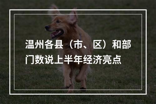 温州各县（市、区）和部门数说上半年经济亮点