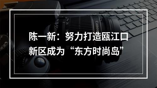 陈一新：努力打造瓯江口新区成为“东方时尚岛”