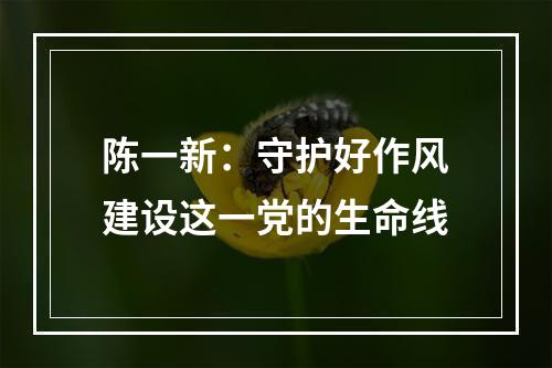 陈一新：守护好作风建设这一党的生命线
