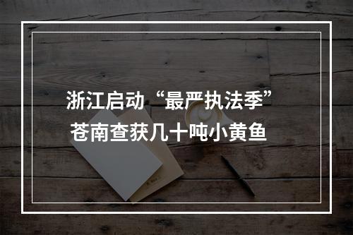 浙江启动“最严执法季”  苍南查获几十吨小黄鱼