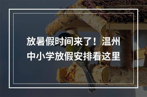 放暑假时间来了！温州中小学放假安排看这里