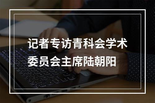 记者专访青科会学术委员会主席陆朝阳