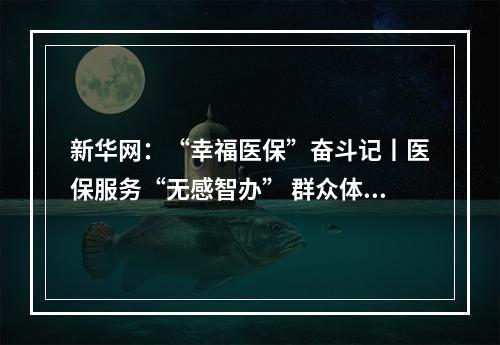 新华网：“幸福医保”奋斗记丨医保服务“无感智办” 群众体验“有感升级”