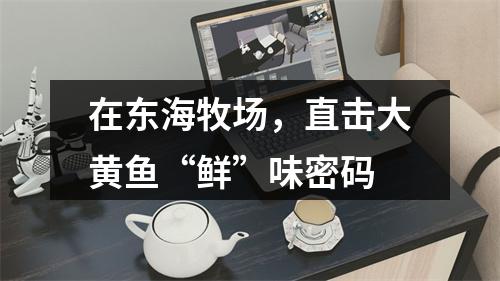 在东海牧场，直击大黄鱼“鲜”味密码
