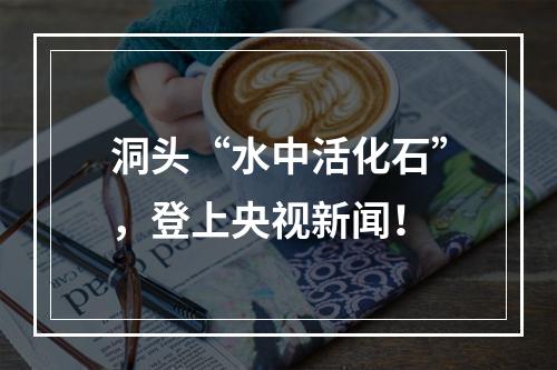 洞头“水中活化石”，登上央视新闻！