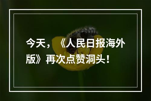 今天，《人民日报海外版》再次点赞洞头！