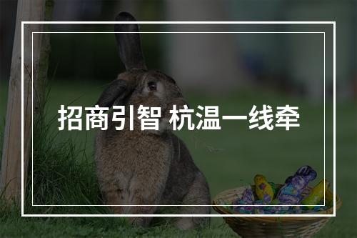 招商引智 杭温一线牵