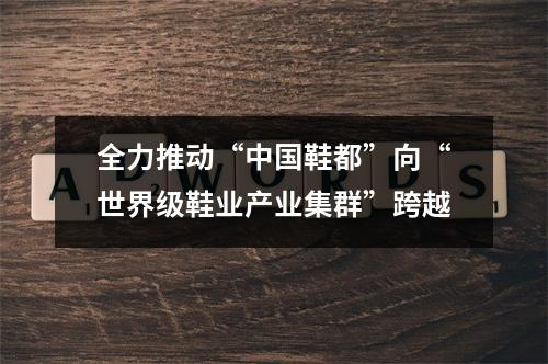 全力推动“中国鞋都”向“世界级鞋业产业集群”跨越