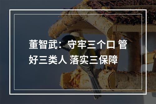 董智武：守牢三个口 管好三类人 落实三保障